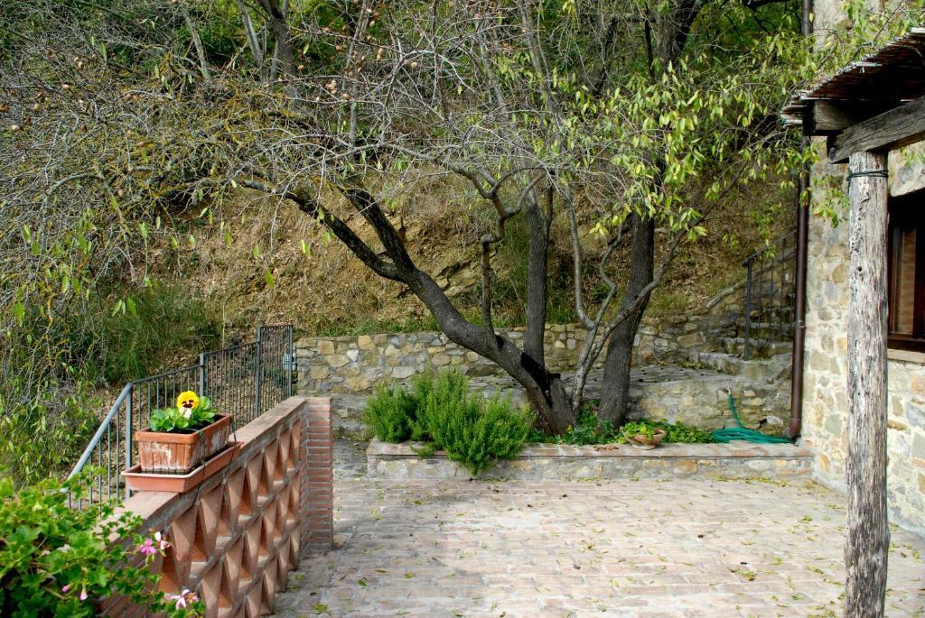Podere Monte Petreto San Savino  Habitación foto