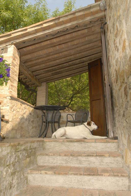 Podere Monte Petreto San Savino  Habitación foto