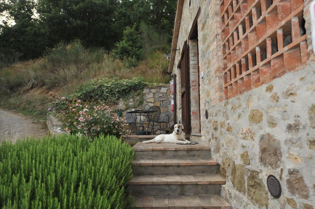 Podere Monte Petreto San Savino  Habitación foto